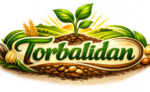 cropped cropped torbalidan.png