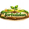 cropped torbalidan.png